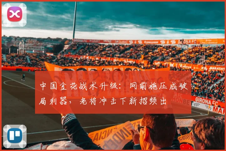 中国金花战术升级：网前施压成破局利器，老将冲击下新招频出 - 2026世界杯推荐