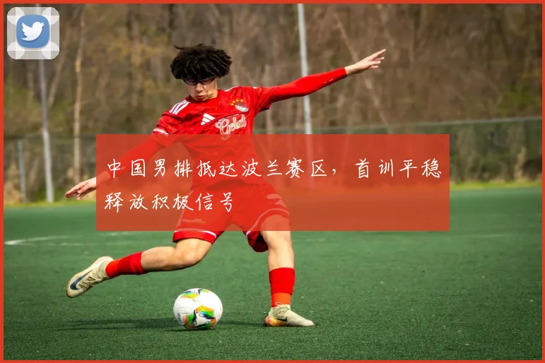 中国男排抵达波兰赛区，首训平稳释放积极信号 - 2026世界杯推荐