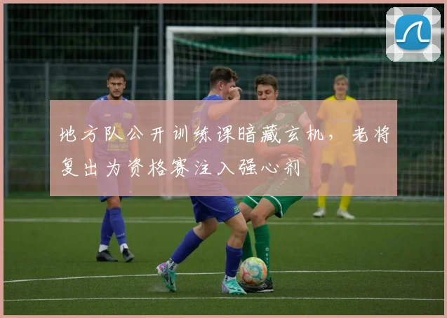 地方队公开训练课暗藏玄机，老将复出为资格赛注入强心剂 - 2026世界杯推荐